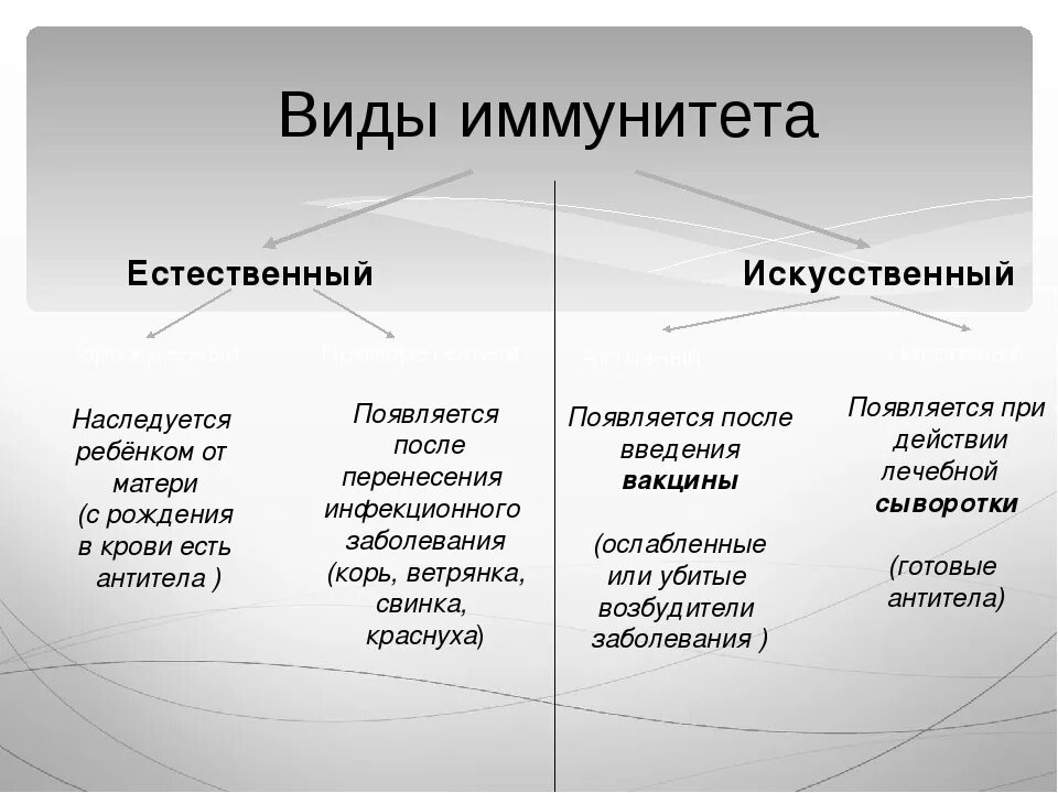 Виды иммунитета таблица. Виды иммунитета физиология. Понятие и виды иммунитета. Классификация видов иммунитета.