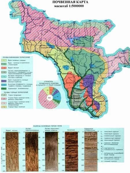 Карта почв Амурской области. Почвенная карта Амурской области. Почвенная карта Благовещенского района Амурской области. Карта типы почв Амурская область.