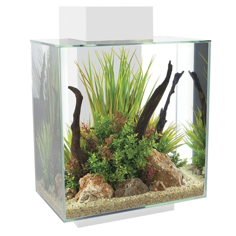 Аквариум Fluval Edge 23l. Fluval Edge 23. Fluval Edge 23 фильтр. Аквариум Hagen Fluval Flex 500. Аквариум аквас