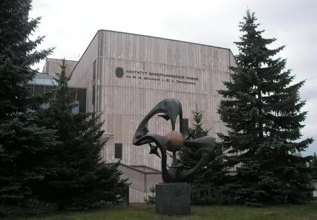 Ибх