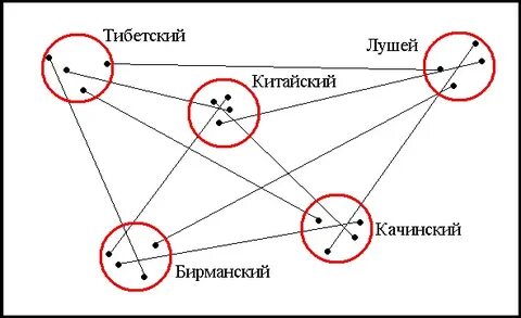 Сино тибетская семья