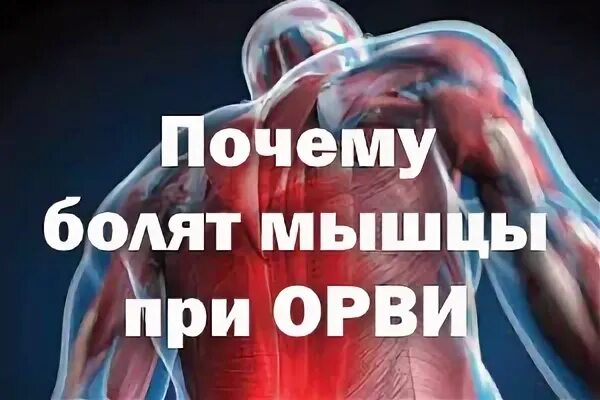 Боль в мышцах и температура