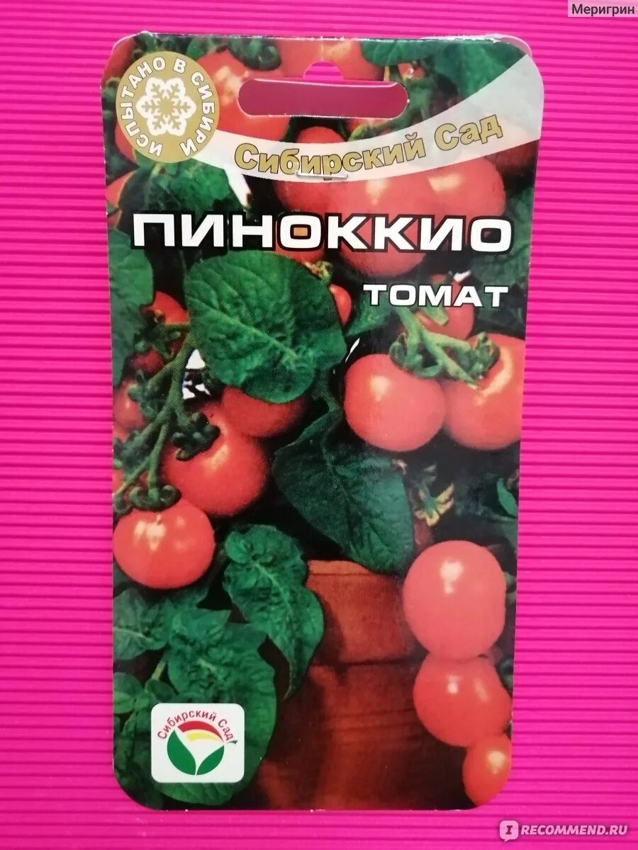 Помидоры пиноккио описание. Сорт Пиноккио томат. Сорт помидор Пиноккио. Помидоры черри Пиноккио. Томаты черри Пиноккио.