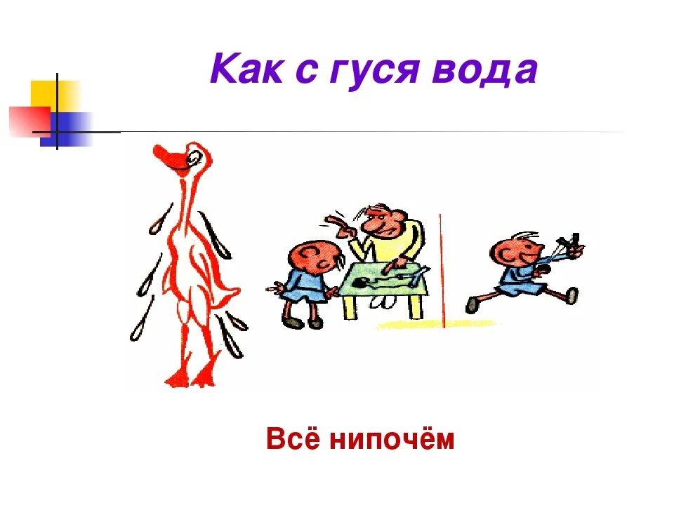 Фразеологизм. Проект фразеологизмы. Фразеологизмы 6 класс. Фразеологизм ни богу свечка. Водить за нос фразеологизм.