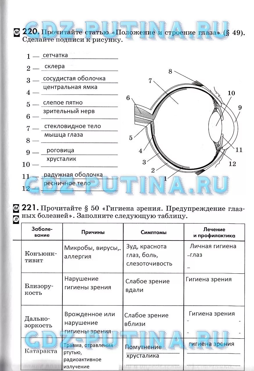 Лабораторная работа 9 по биологии 8 класс. Таблица по биологии 8 класс Колесов. Гигиена органов зрения таблица. Заболевания органов зрения таблица. Прочитайте статью положение и строение глаза.