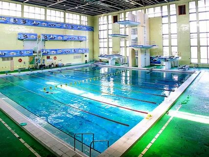Бассейн московский телефон