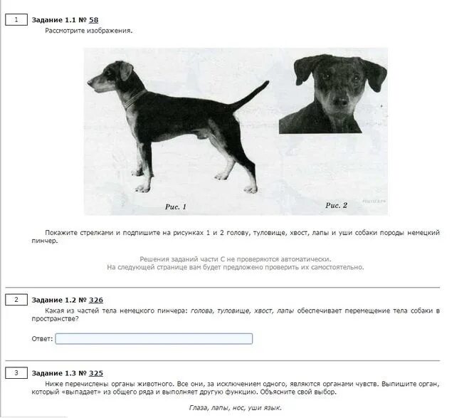 Образовательный портал решу впр биология 5 ответы. ВПР 5 класс биология 2022 с ответами. Задание ВПР биология. Демоверсия по биологии 5 класс. ВПР по биологии 5 класс с ответами.