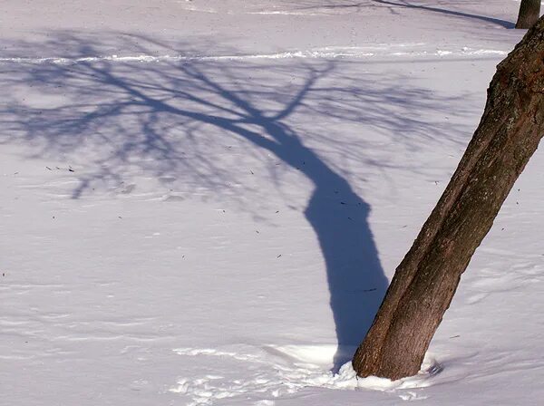 Летопись зимы. «ведическая русь» всеволода борисовича иванова,. 2009 год зима. Летопись зимы. Зима 2009-2010 в россии.