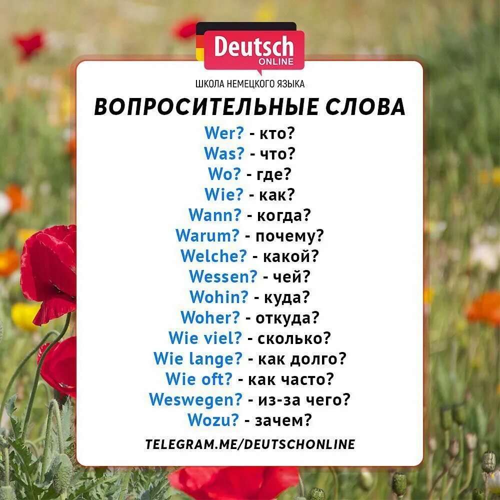 Переведи слово вопрос. Вопросительные слова в немецком языке. Слова вопросы в немецком языке. Вопросы в немецком языке таблица. Вопросительные слова в немецк.