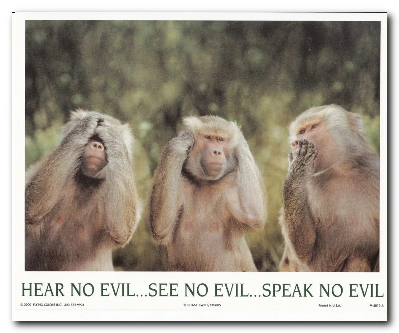 Не слышу зла не вижу зла песня. See no Evil hear no Evil speak no Evil. No Evil Monkeys. No see no speak no hear. Speak no Evil Monkey.