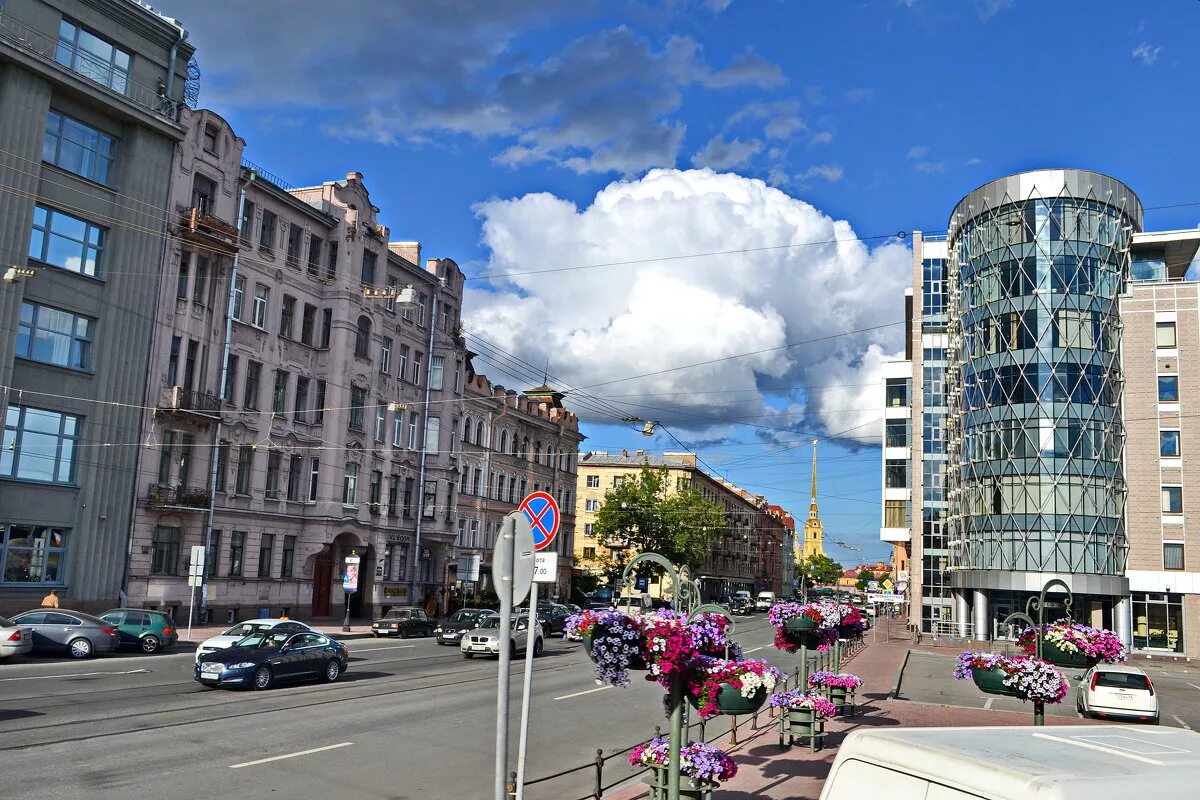 Большой на петроградке. Петроградский район Санкт-Петербурга. Петроградская сторона Санкт-Петербург. Петроградский проспект Питер. Район Петроградка СПБ.