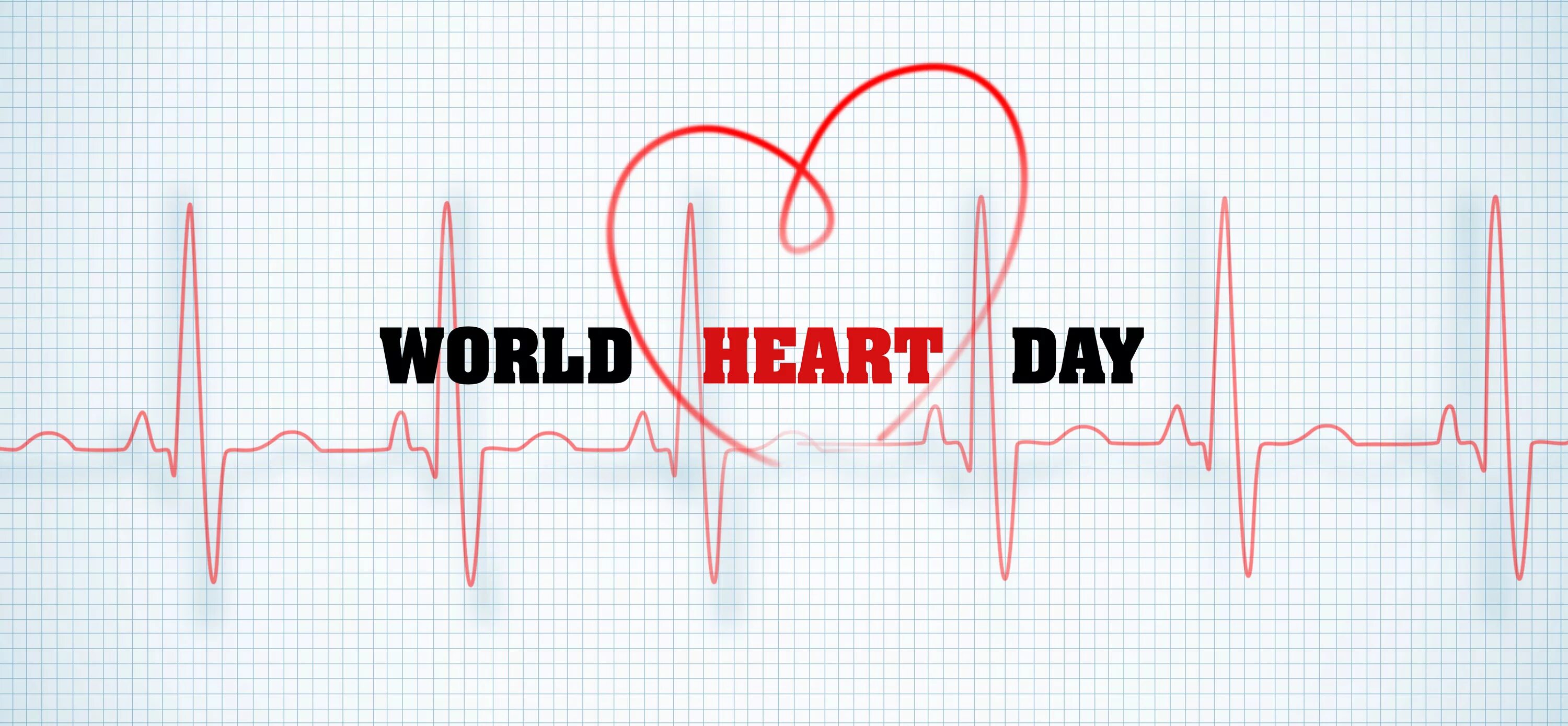 The world is heart. Heart World. World Cardiology Day. Дейс сердце. World Heart Day poem.