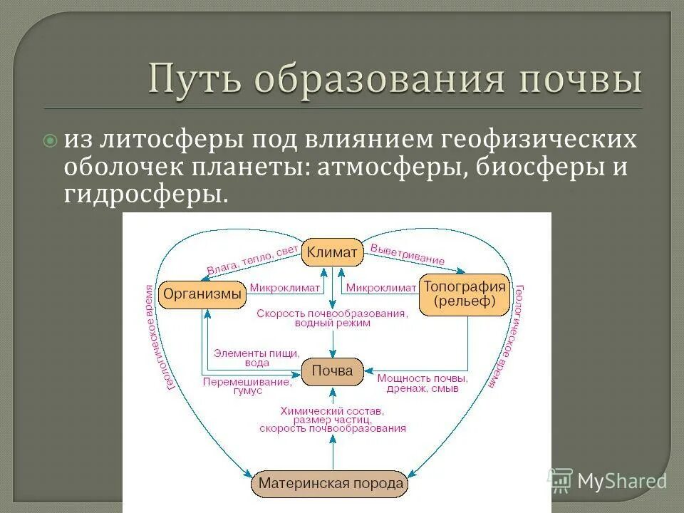 Пути образования есть что. Оболочки участвующие в формировании почв схема. цепочка образования почвы. литосфера фактор почвообразования. факторы образования почвы.