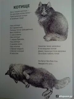 Книга вот они какие