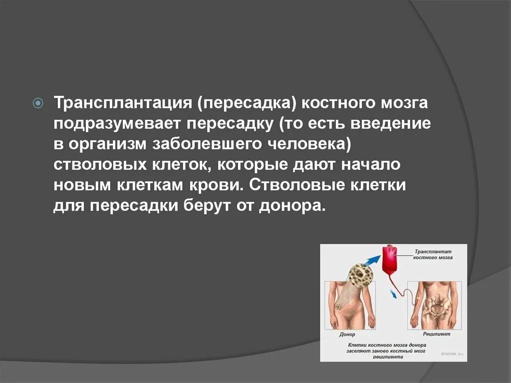 Трансплантация клеток костного мозга. Пересадка костного мозга общая хирургия. Аутотрансплантация костного мозга. Трансплантация костного мозга презентация. Пересадка костного мозга москва