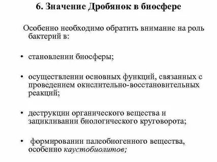 Выберите функции цианобактерий в биосфере