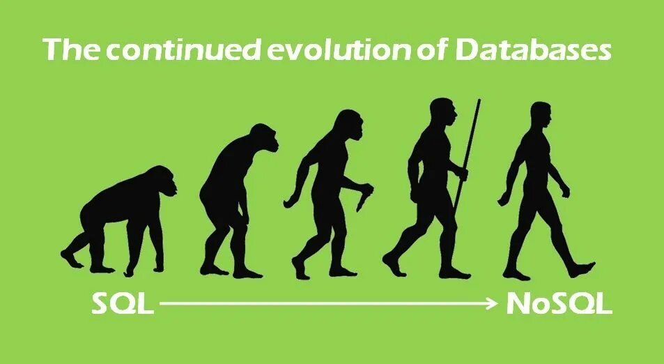 Database Evolution. Homo Evolution. Evolution of species мод. Evolution of лучше. Эволюция видна