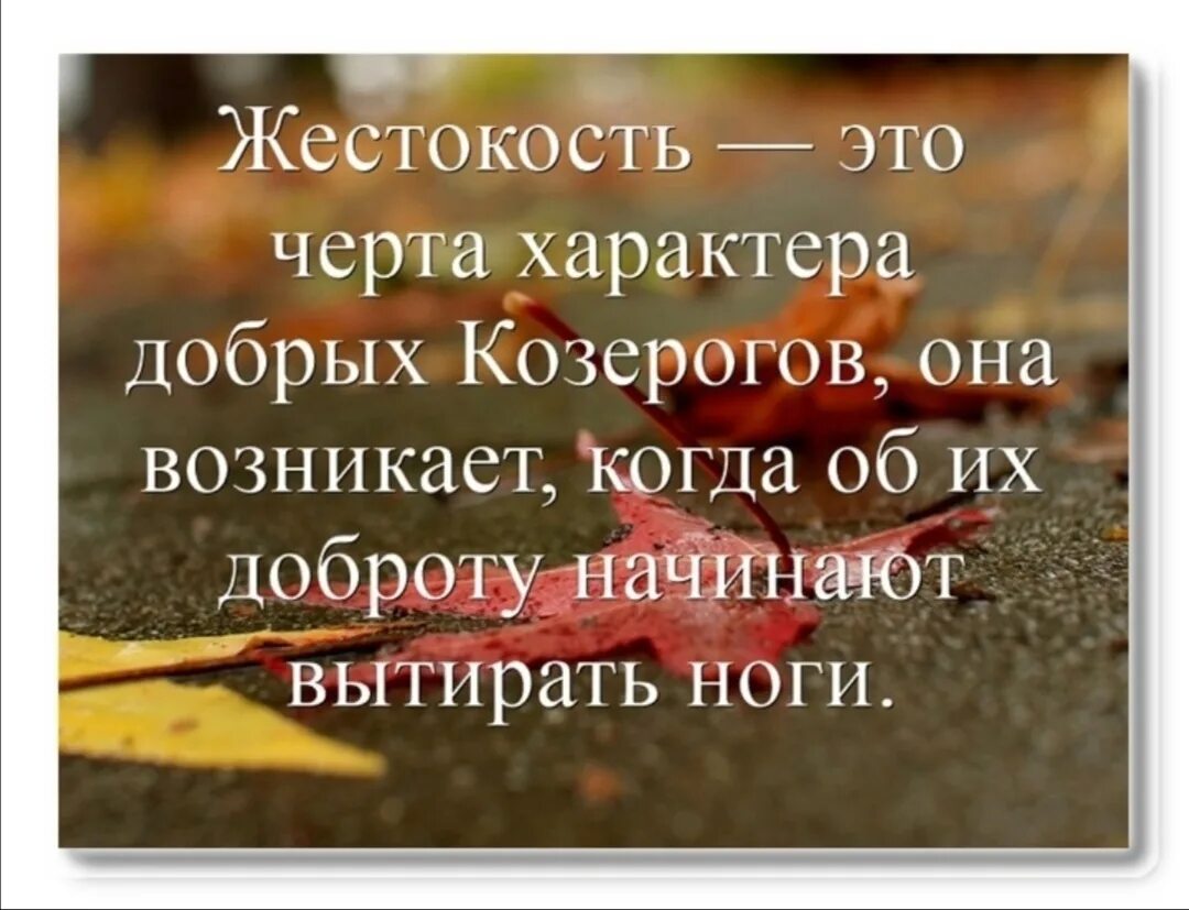 Будьте черти добрее. Жестокость это черта характера добрых людей она возникает. Жестокость это черта добрых. Жестокость это черта характера. Жестокость это черта характера добрых.