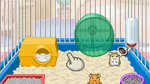 Игры про хомячков. Petz: Hamsterz Life 2. Petz Hamsterz Life. Игра Hamster. Игра про хомяка.