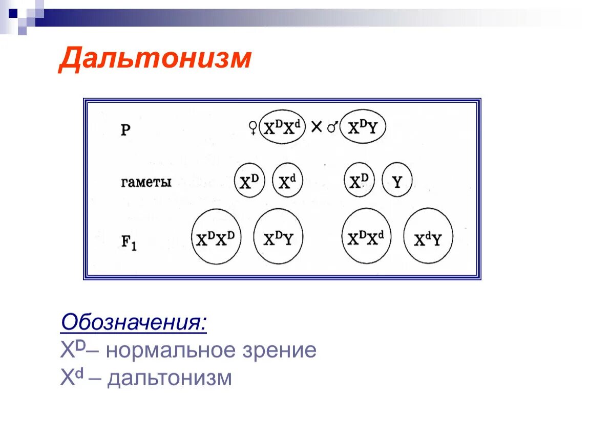 Генотип человека с дальтонизмом. Дальтонизм генетика. Наследование дальтонизма. Дальтонизм генотип. Схема наследования дальтонизма.