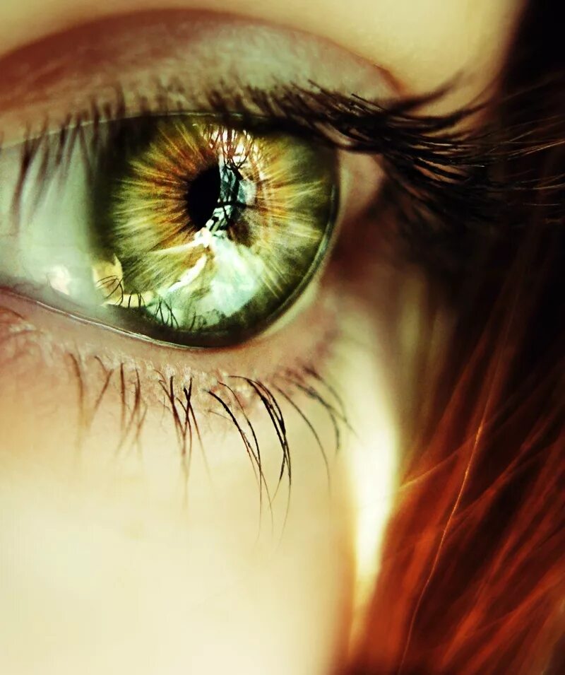 Зелёные глаза. Красивые глаза. Красивые зеленые глаза. Красивые глазки.