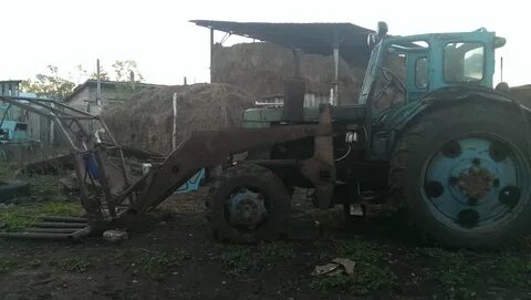 Кун 10