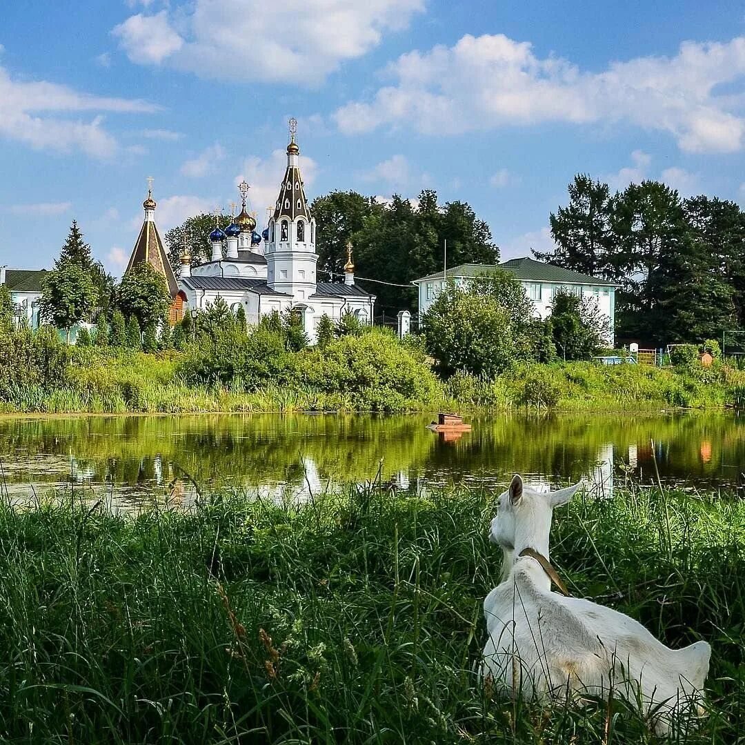 Village московская область. Храм святителя Николая Сидоровское. Храм святителя Николая Чудотворца село Сидоровское. Сидоровское (Московская область). Село Сидоровское Московская область.