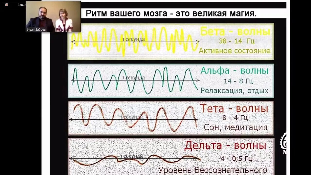 Альфа волны мозга. Альфа бета тета Дельта волны. Волны мозга Альфа бета тета. Мозговые волны Альфа бета тета гамма Дельта. Альфа бета тета Дельта ритмы мозга.