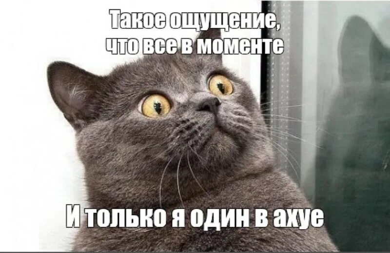 Мем в ахуе. Картинка я просто в ахуе. в моменте мем. я в моменте мем. картинка прикол я в ахуе.