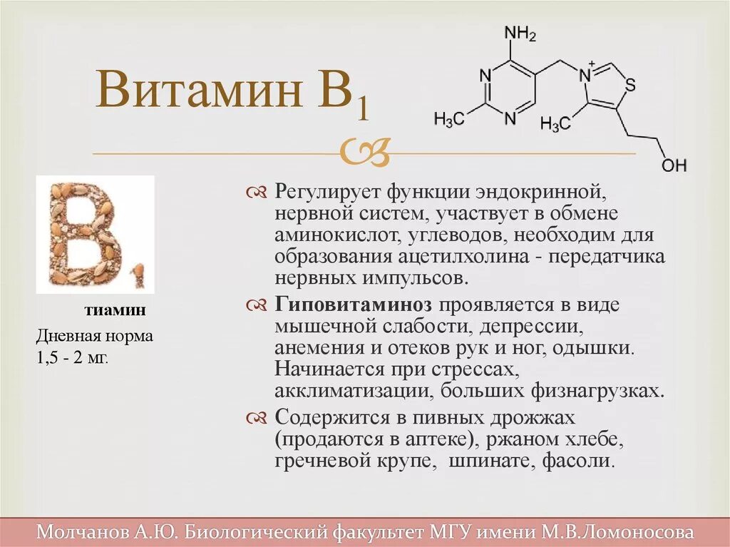 Состав b6. Тиамин витамин в1 участвует. Тиамин витамин в1. Тиамин в1 формула. Витамин в1 формула.