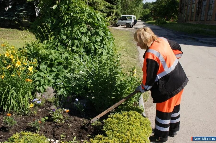 озеленение и благоустройство различных территорий