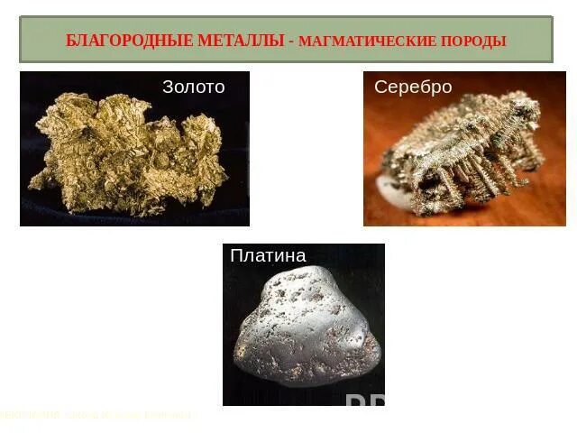 Благородные металлы знаки. Благородные металлы золото, серебро, платина. Благородные металлы металлы. Благородные металлы список. Золото в магматической породе.