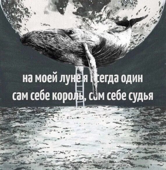 На моей Луне. Мертвые дельфины на моей Луне. На моей Луне я всегда один. Мертвые дельфины на моей Луне альбом.