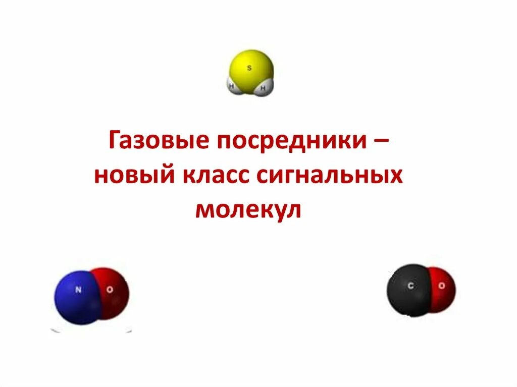 Сигнальные молекулы