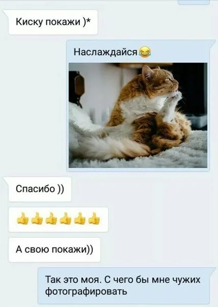 Покажи Киску Секс