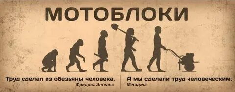 Воля и труд человека дивные дивы творят