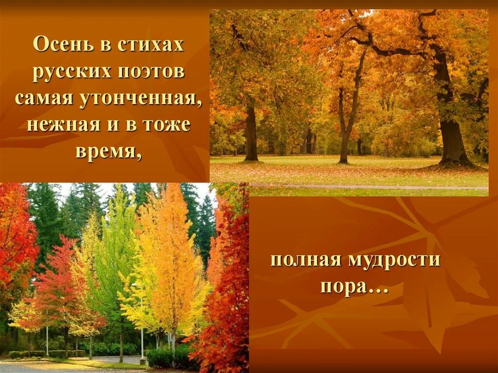 Бунин иван алексеевич лес точно терем расписной. Стихотворения про осень русских поэтов. Алексей николаевич плещеев осень. Произведения об осени. Презентация осень.