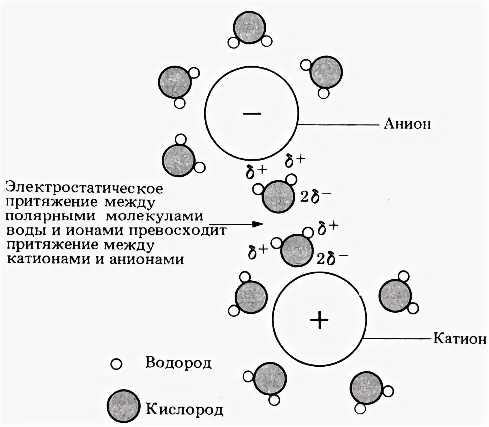 Распределение воды вокруг аниона и катиона схема. Молекула воды катион анион. Анион молекулы воды. Распределение молекул воды вокруг ионов. Электростатического притяжения ионов