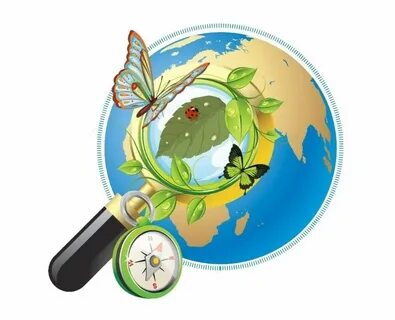 Школьные проекты по географии