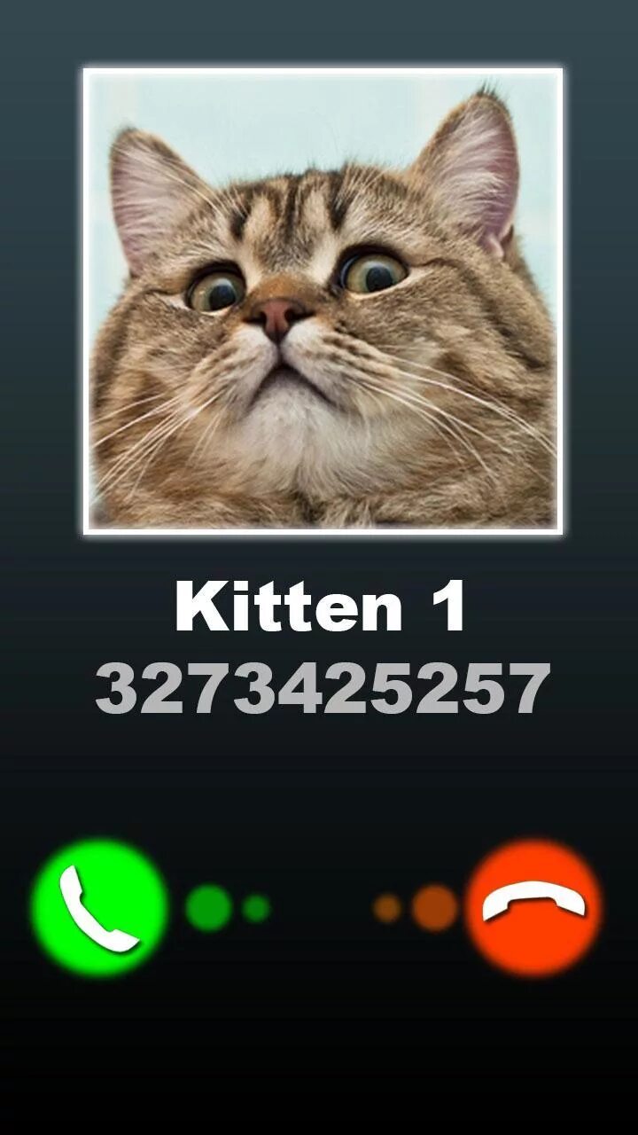Включи подкаст кота аудиоверсия. Кот звонит. Кот с телефоном. Кот позвонил. Рыжий кот звонит.