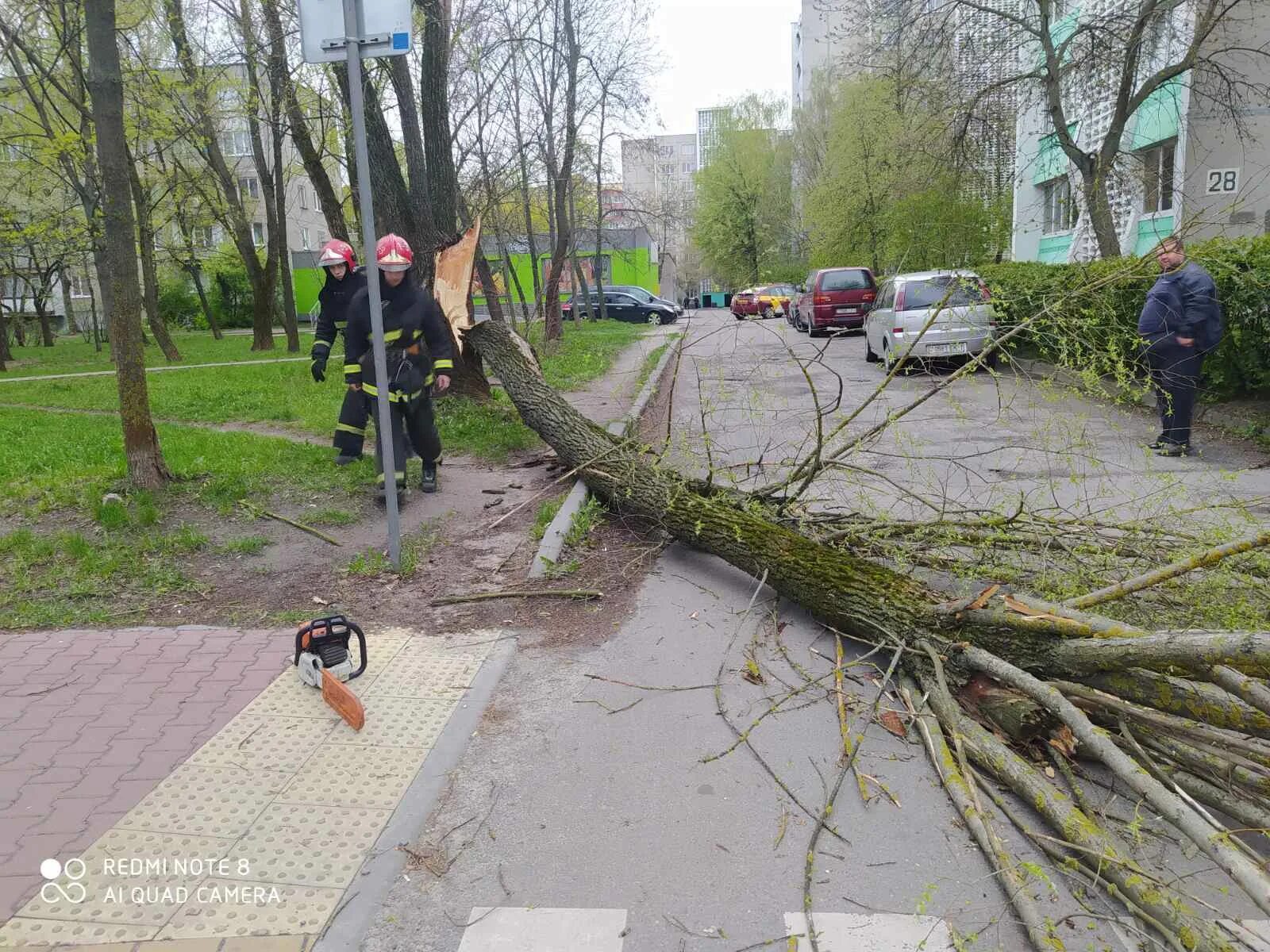 Сильный ветер в Беларуси. Ураганный ветер в Белоруссии. Нарушения электроснабжения падение деревьев. Последствия сильного ветра.