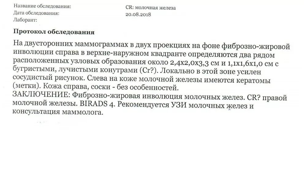 Анализ маммографии. Протокол описания маммографии. Заключение маммография молочных желез норма. Протокол исследования молочных желез маммография. Протокол УЗИ молочных желез с birads.