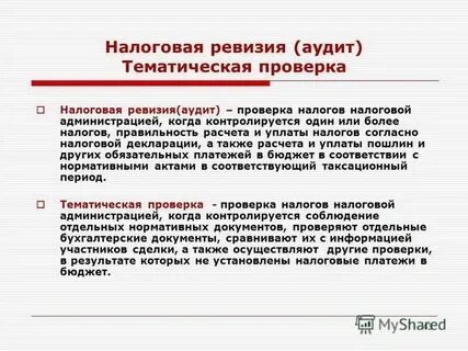 Ревизионный аудит