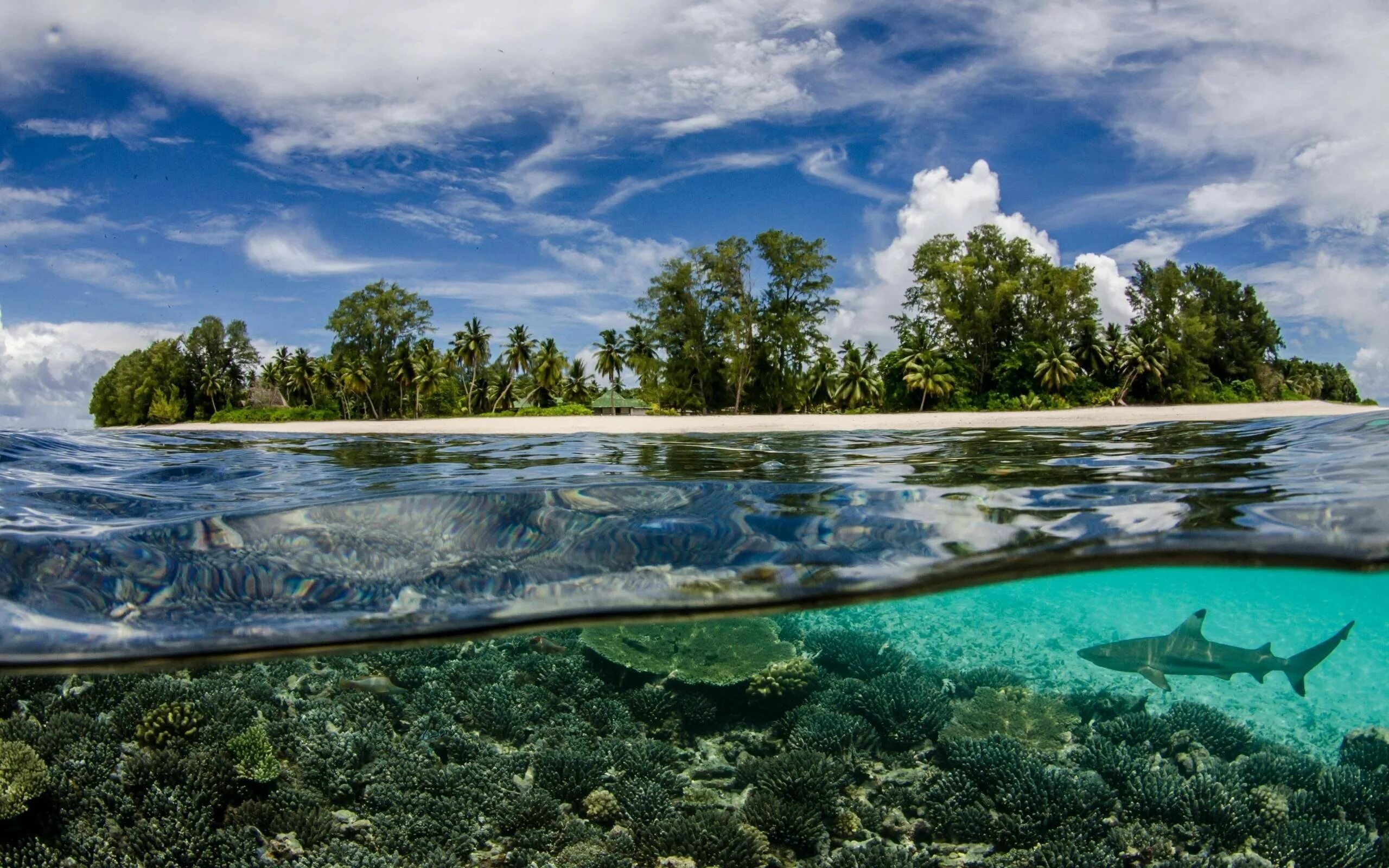 Красота воды река. Бирюзовая Лагуна Мальдивы. Морской заповедник Саут-Уотер-Кей,. Прозрачное море. Прозрачная вода.