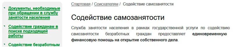 Самозанятость безработных граждан. Содействие самозанятости безработных граждан. Субсидия от центра занятости на открытие бизнеса 2020 сумма. Программа самозанятости населения.