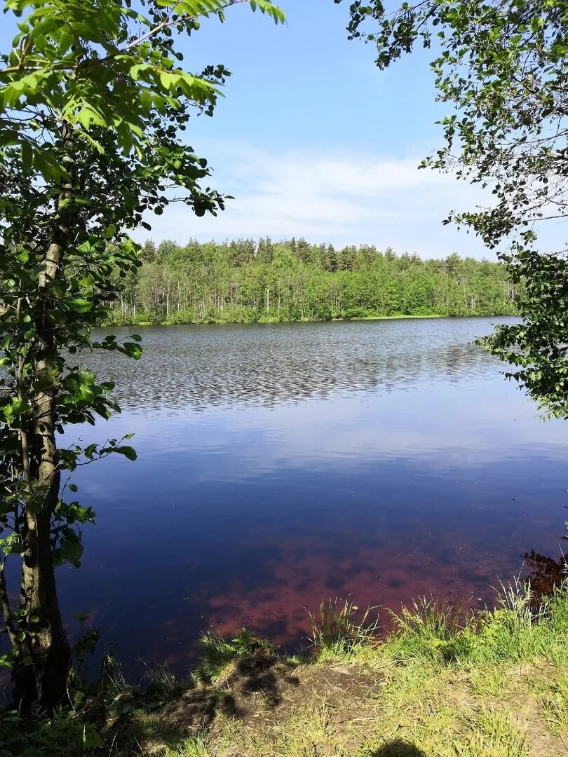 Ефимьевское озеро Нижегородская. Озеро черное Нижегородская область. Озеро Рамзай Нижегородской области. Боровское озеро Нижегородской области. Озеро нижнее отзывы