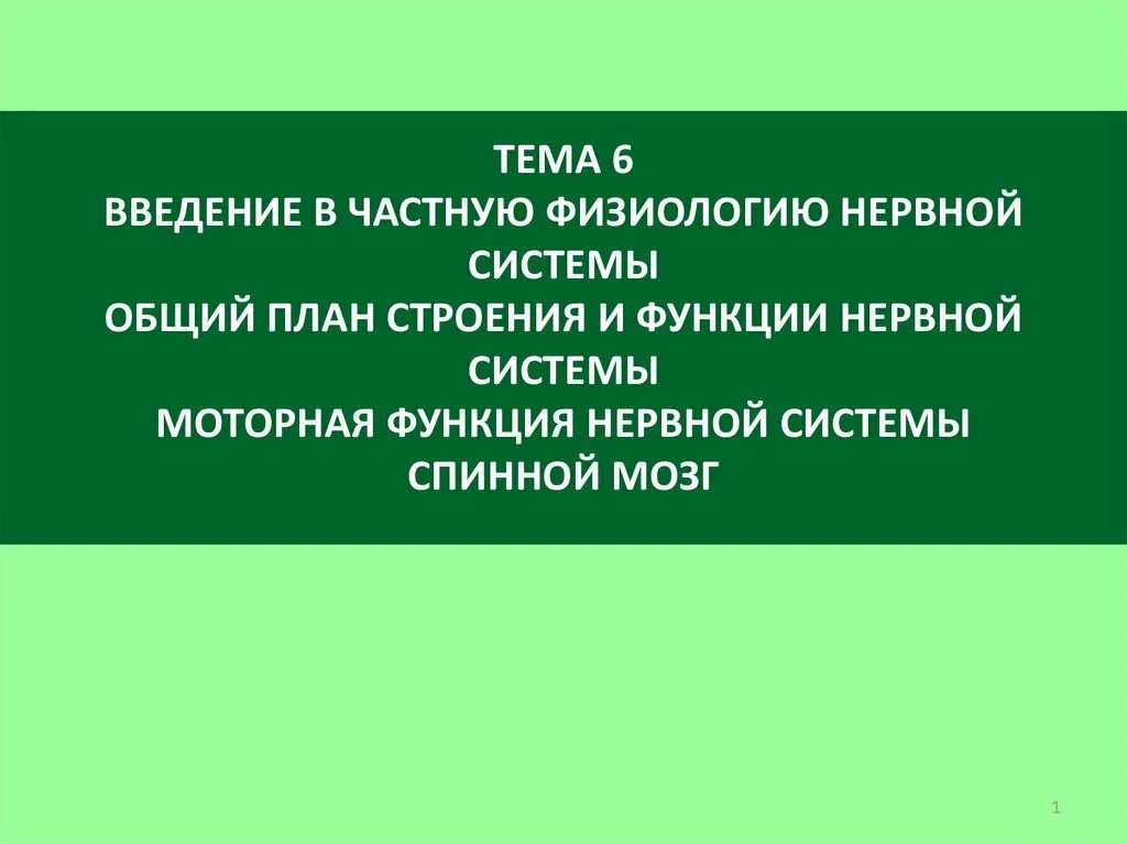 Значение строение и функционирование нервной системы тест. Значение строение и функционирование нервной системы тест