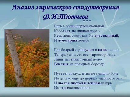 Что должно быть в стихотворении