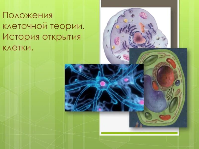 Первые клетки возникли. Возникновение представлений о клетке. Учение клетки биология. Открытие клеточного строения организмов. История открытия клетки биология.