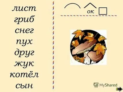 Какое окончание в слове гриб